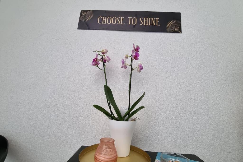 Stone Apartament *